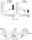 Fig. 07 - Precision medicine for treating and preventing suicidality