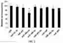Fig. 09 - Method for determining decrease in functions of hippocampus by using correlation between micro RNA and NMDA receptor, method for inhibiting decrease in functions, and method for screening for inhibitors of decrease in functions