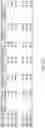 Fig. 41 - Methods for Identifying Progression of a Primary Melanoma