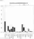 Fig. 06 - Detecting gastrointestinal neoplasms