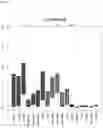 Fig. 08 - Detecting gastrointestinal neoplasms