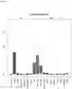 Fig. 28 - Detecting gastrointestinal neoplasms