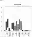 Fig. 33 - Detecting gastrointestinal neoplasms