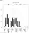 Fig. 34 - Detecting gastrointestinal neoplasms