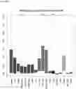 Fig. 40 - Detecting gastrointestinal neoplasms