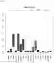 Fig. 43 - Detecting gastrointestinal neoplasms