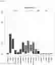 Fig. 53 - Detecting gastrointestinal neoplasms