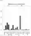 Fig. 63 - Detecting gastrointestinal neoplasms