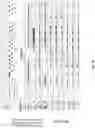 Fig. 43 - Diagnostic applications using nucleic acid fragments