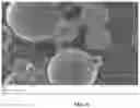 Fig. 08 - ATOMIZED PICOSCALE COMPOSITION ALUMINUM ALLOY AND METHOD THEREOF