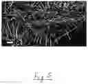 Fig. 06 - Method of making flexible ceramic fibers and polymer composite