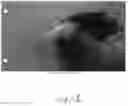 Fig. 10 - Method of making flexible ceramic fibers and polymer composite