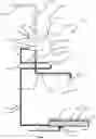 Fig. 02 - Environmentally-friendly shower water recycling system