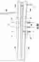 Fig. 80 - Portable barrier