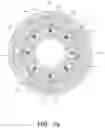 Fig. 07 - Plug and Plug Seat System