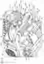 Fig. 07 - Saddle riding vehicle