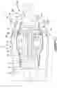 Fig. 02 - Gas turbine engine with trailing edge heat exchanger