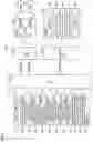 Fig. 04 - HYBRID VEHICLE AND METHOD OF DIAGNOSING ABNORMAL CONDITION OF HYBRID VEHICLE