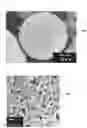 Fig. 02 - Complex titanate compound, method of preparing same, and friction material