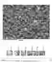 Fig. 03 - Complex titanate compound, method of preparing same, and friction material