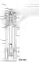 Fig. 17 - Vehicle suspension damper