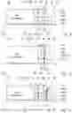 Fig. 07 - Transmission, transmission assembly and powertrain