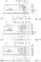 Fig. 09 - Transmission, transmission assembly and powertrain