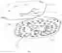 Fig. 05 - Light source module and lighting device