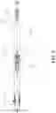 Fig. 05 - Bolt release mechanism for firearm