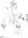 Fig. 11 - Firearm safety feature