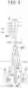 Fig. 06 - Surveying instrument