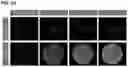 Fig. 03 - Stable dithizone solutions and formulations and methods for their use