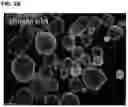 Fig. 07 - Stable dithizone solutions and formulations and methods for their use