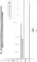 Fig. 07 - PHENOL-FREE ACID-FAST BACTERIA SOLUTION