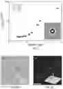 Fig. 03 - Automated real-time particle characterization and three-dimensional velocimetry with holographic video microscopy