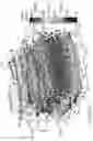 Fig. 05 - Automated real-time particle characterization and three-dimensional velocimetry with holographic video microscopy