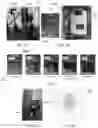 Fig. 06 - Laser imaging of gases for concentration and location identification
