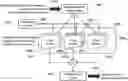 Fig. 01 - Method for optically detecting biomarkers