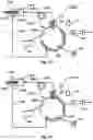 Fig. 07 - Liquid chromatography multi-draw method, system and use for sampling