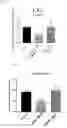 Fig. 08 - COMPOSITIONS AND METHODS FOR DETECTING AND TREATING PATHOLOGICAL FIBROBLAST CELLS