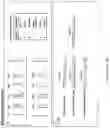 Fig. 03 - POLYMER-BASED SIGNAL AMPLIFICATION FOR PROTEIN AND CELL DETECTION