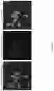 Fig. 35 - POLYMER-BASED SIGNAL AMPLIFICATION FOR PROTEIN AND CELL DETECTION