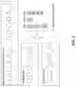 Fig. 02 - ANTIBODY PRODUCING NON-HUMAN ANIMALS