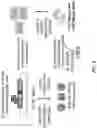 Fig. 09 - ANTIBODY PRODUCING NON-HUMAN ANIMALS