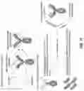 Fig. 12 - ANTIBODY PRODUCING NON-HUMAN ANIMALS