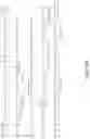 Fig. 19 - ANTIBODY PRODUCING NON-HUMAN ANIMALS