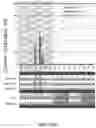 Fig. 23 - ANTIBODY PRODUCING NON-HUMAN ANIMALS