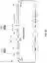 Fig. 29 - ANTIBODY PRODUCING NON-HUMAN ANIMALS