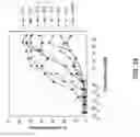 Fig. 32 - ANTIBODY PRODUCING NON-HUMAN ANIMALS