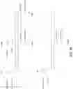 Fig. 33 - ANTIBODY PRODUCING NON-HUMAN ANIMALS